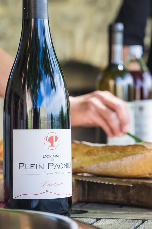 Le Mas De Plein Pagnier マザン エクステリア 写真